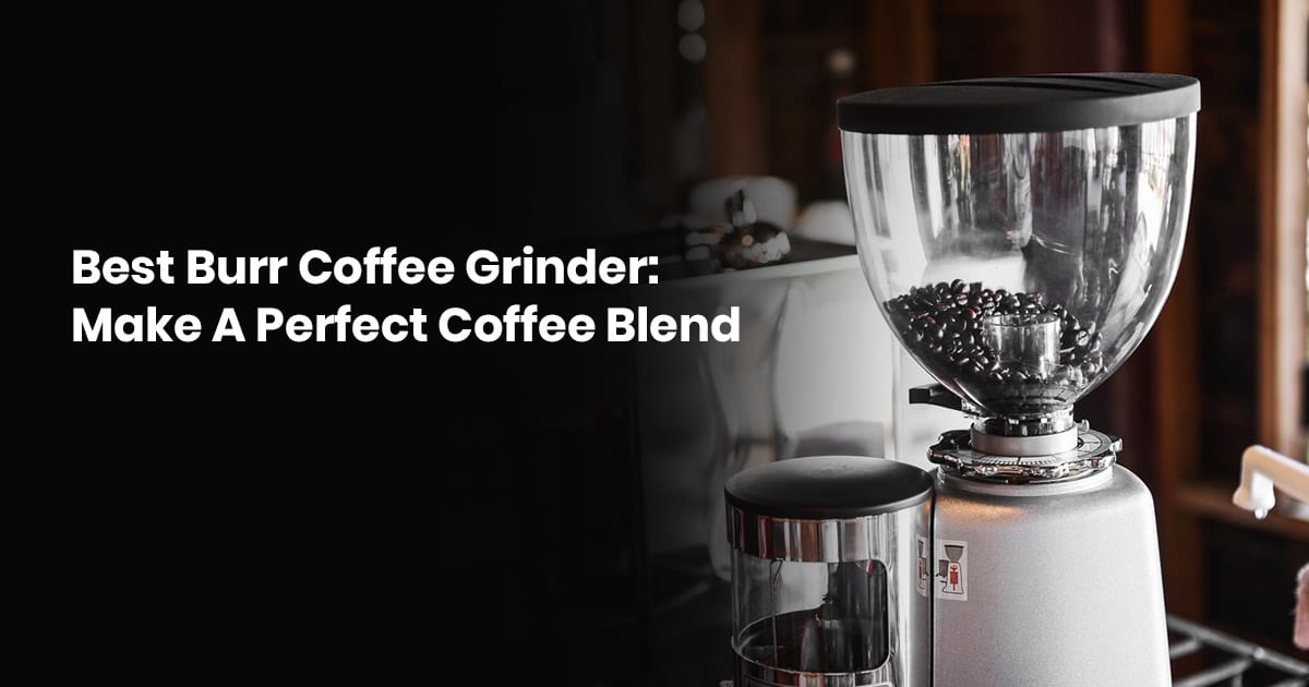 Best Burr Coffee Grinder: Make The Perfect Coffee Blend