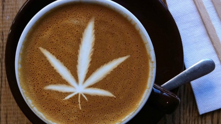 Coffee From Cannabis