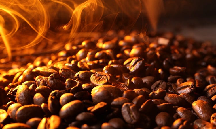 Coffee Beans Freshly Roasted