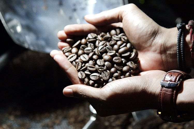 Coffee Beans In Hands