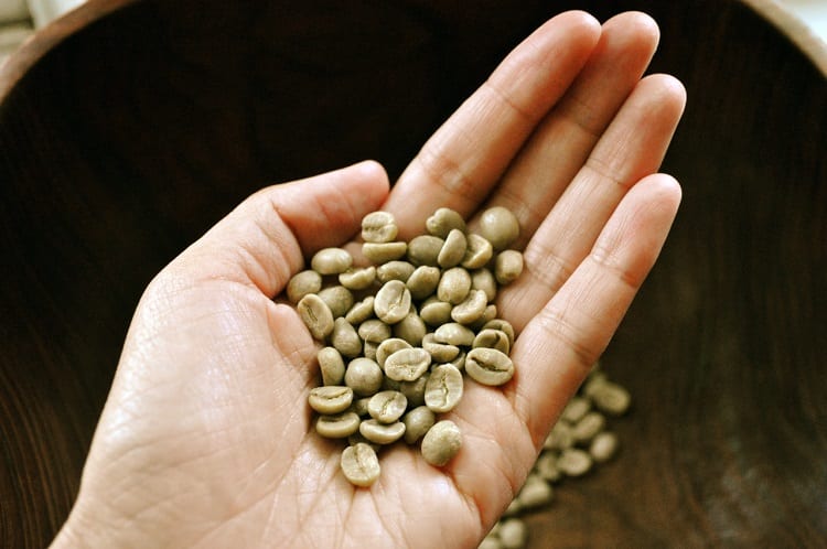 Green Coffee Beans In Hand