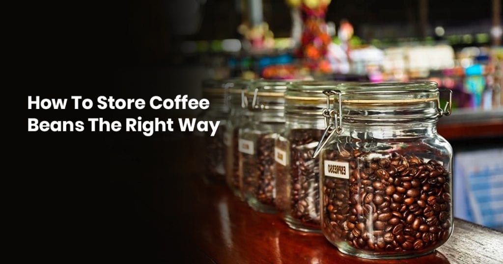 How To Store Coffee Beans The Right Way