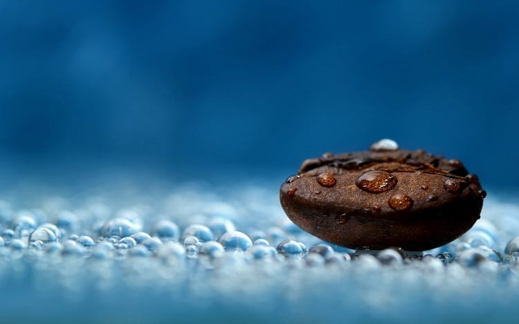 Water Drops On Coffee Bean